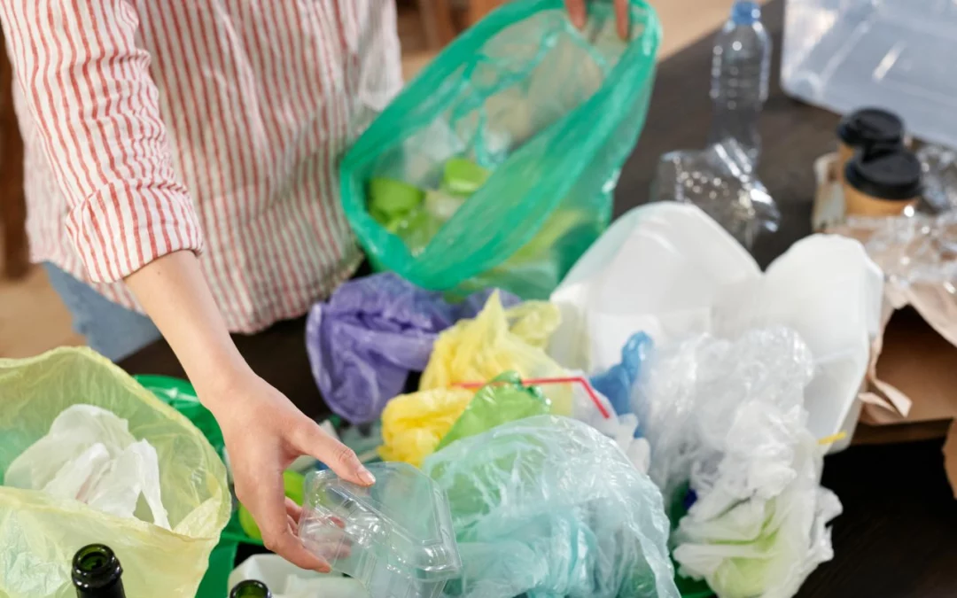 How to collect and dispose of waste correctly